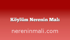 Köylüm Nerenin Malı