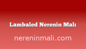 Lambaled Nerenin Malı