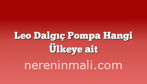 Leo Dalgıç Pompa Hangi Ülkeye ait