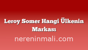 Leroy Somer Hangi Ülkenin Markası