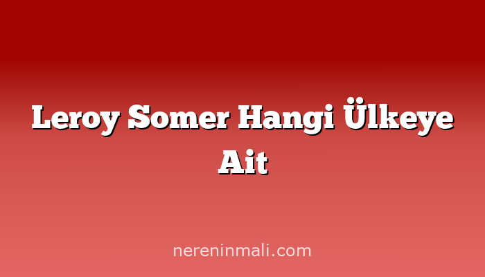 Leroy Somer Hangi Ülkeye Ait