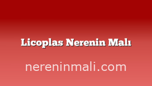 Licoplas Nerenin Malı