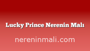 Lucky Prince Nerenin Malı