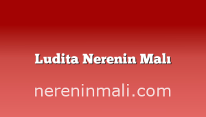 Ludita Nerenin Malı