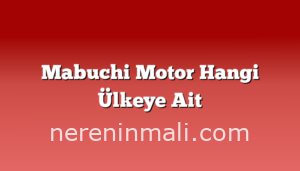 Mabuchi Motor Hangi Ülkeye Ait