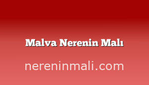 Malva Nerenin Malı