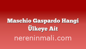 Maschio Gaspardo Hangi Ülkeye Ait