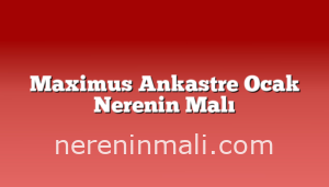 Maximus Ankastre Ocak Nerenin Malı