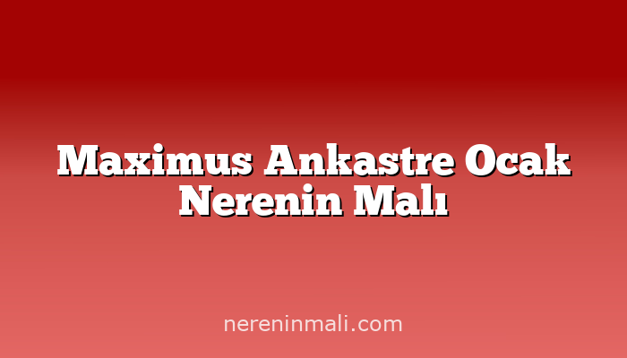 Maximus Ankastre Ocak Nerenin Malı