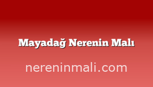 Mayadağ Nerenin Malı