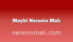 Maybi Nerenin Malı