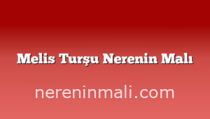 Melis Turşu Nerenin Malı