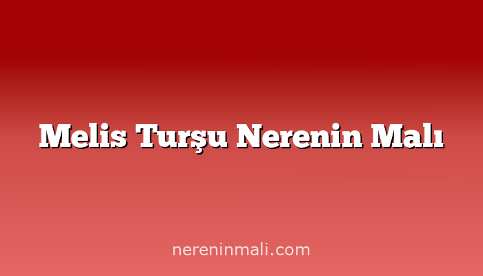 Melis Turşu Nerenin Malı