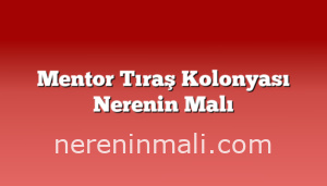 Mentor Tıraş Kolonyası Nerenin Malı