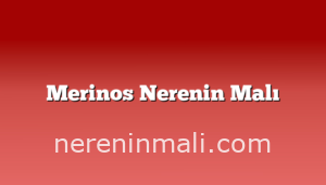 Merinos Nerenin Malı