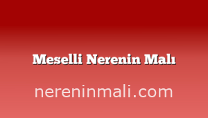 Meselli Nerenin Malı