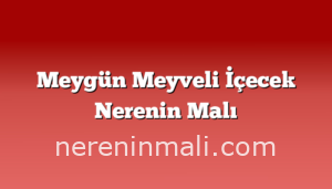 Meygün Meyveli İçecek Nerenin Malı