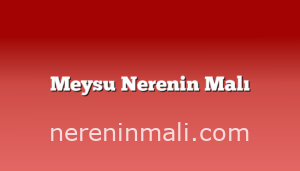 Meysu Nerenin Malı