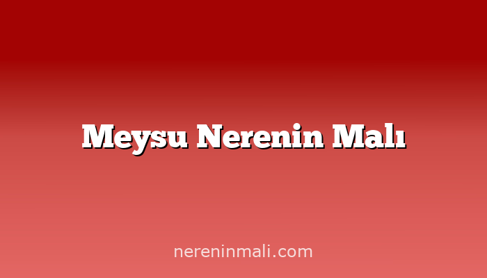 Meysu Nerenin Malı