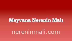 Meyvana Nerenin Malı