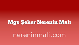 Mgs Şeker Nerenin Malı