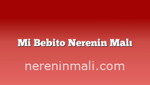 Mi Bebito Nerenin Malı