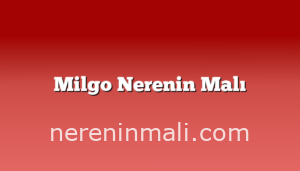 Milgo Nerenin Malı