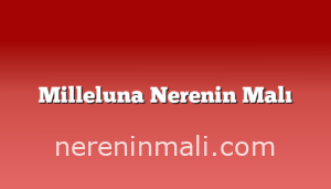 Milleluna Nerenin Malı