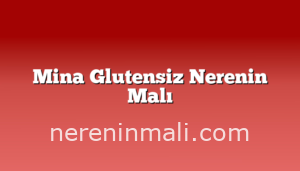 Mina Glutensiz Nerenin Malı