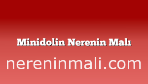 Minidolin Nerenin Malı