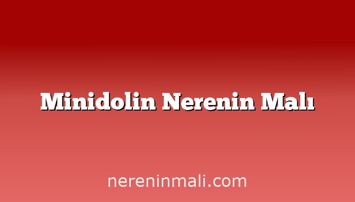 Minidolin Nerenin Malı