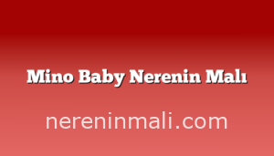 Mino Baby Nerenin Malı