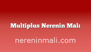 Multiplus Nerenin Malı