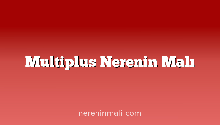 Multiplus Nerenin Malı