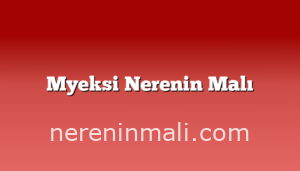 Myeksi Nerenin Malı