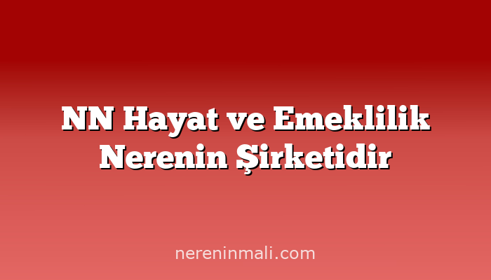 NN Hayat ve Emeklilik Nerenin Şirketidir