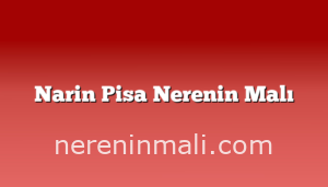 Narin Pisa Nerenin Malı