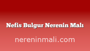 Nefis Bulgur Nerenin Malı