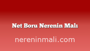 Net Boru Nerenin Malı