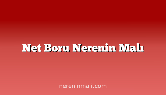 Net Boru Nerenin Malı