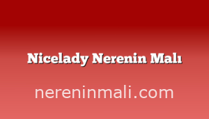 Nicelady Nerenin Malı