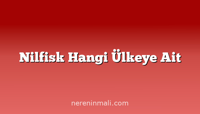 Nilfisk Hangi Ülkeye Ait