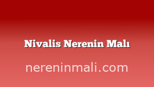 Nivalis Nerenin Malı