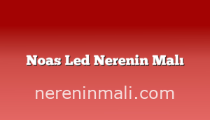 Noas Led Nerenin Malı