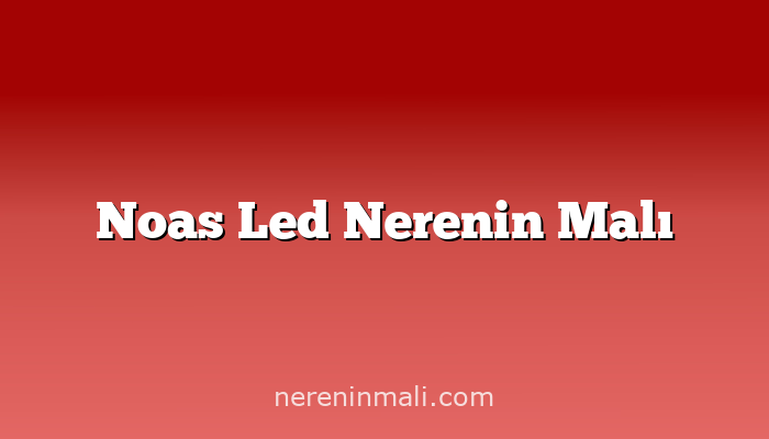 Noas Led Nerenin Malı