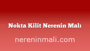 Nokta Kilit Nerenin Malı