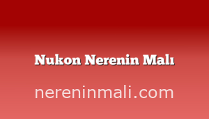 Nukon Nerenin Malı