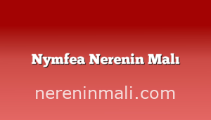 Nymfea Nerenin Malı