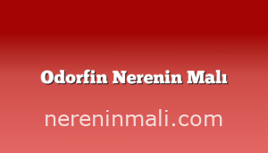 Odorfin Nerenin Malı