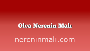 Olca Nerenin Malı